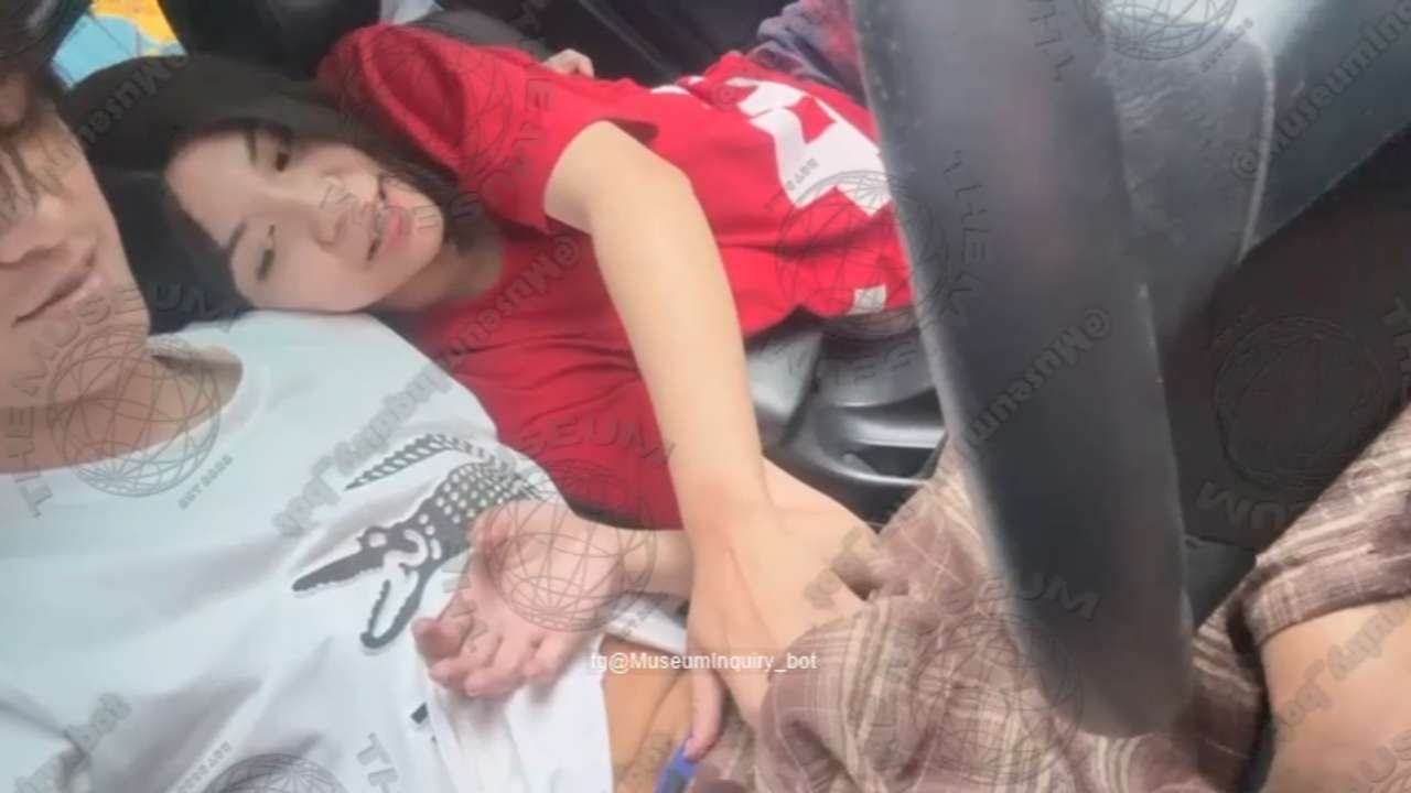 Dinakot sa Tsikot